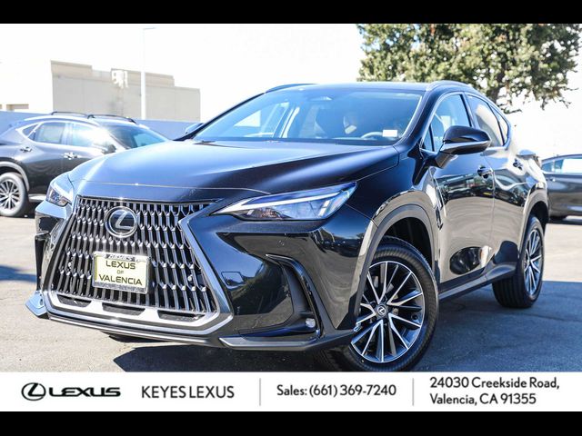 2025 Lexus NX 250