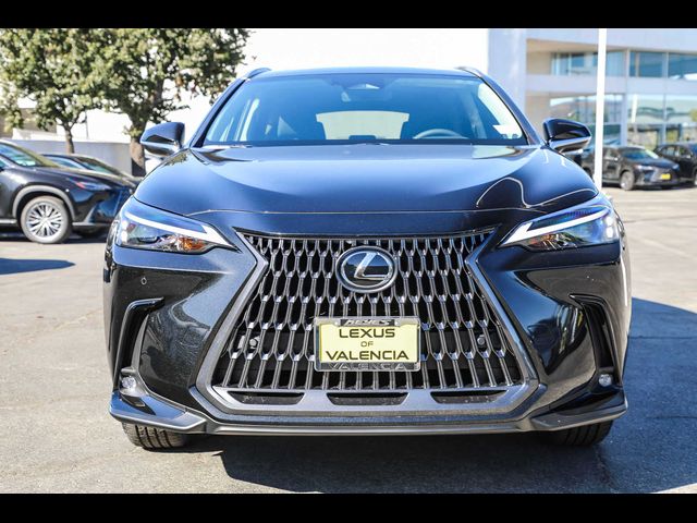 2025 Lexus NX 250