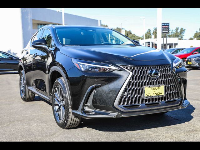 2025 Lexus NX 250