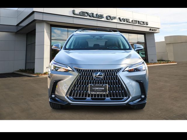 2025 Lexus NX 250