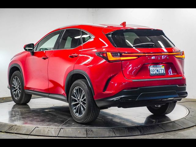 2025 Lexus NX 250