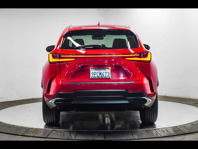 2025 Lexus NX 250