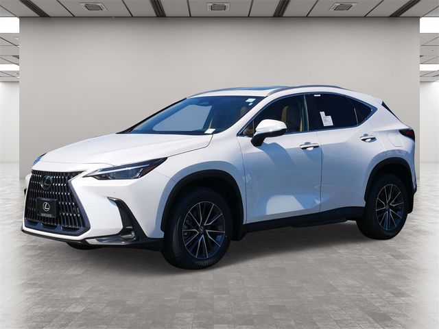 2025 Lexus NX 250