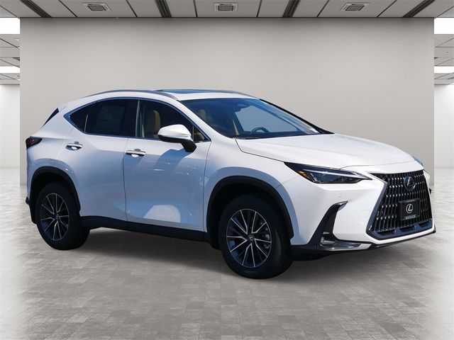 2025 Lexus NX 250