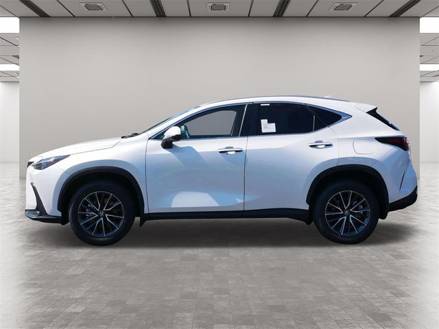 2025 Lexus NX 250