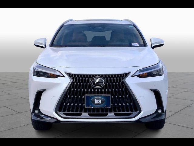 2025 Lexus NX 350