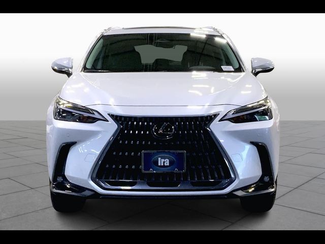 2025 Lexus NX 350