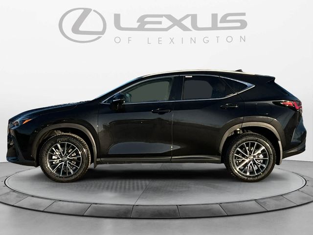 2025 Lexus NX 350