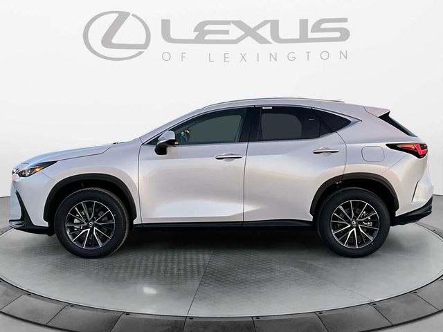 2025 Lexus NX 350