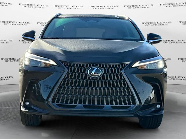 2025 Lexus NX 350