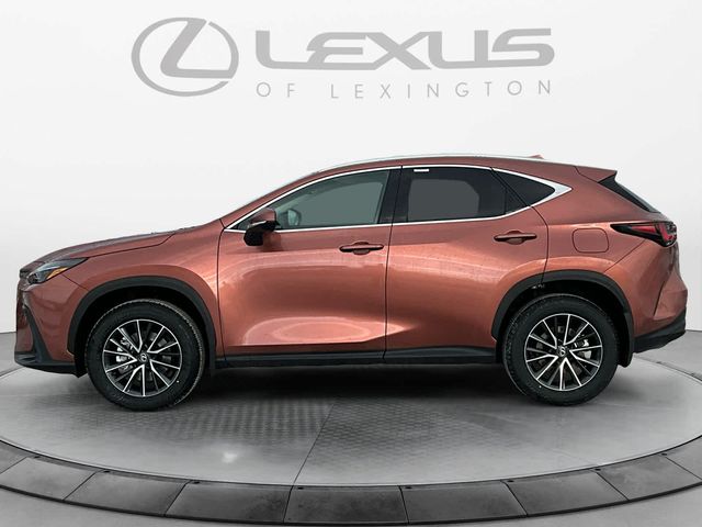 2025 Lexus NX 350