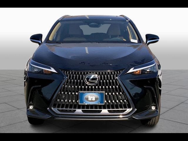 2025 Lexus NX 350