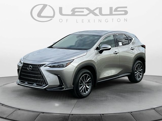 2025 Lexus NX 350