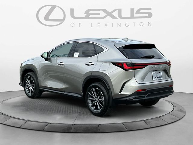 2025 Lexus NX 350