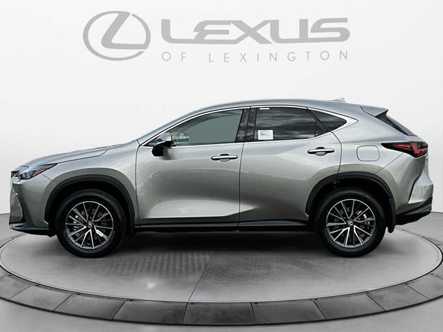 2025 Lexus NX 350