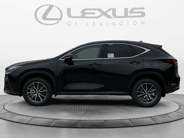 2025 Lexus NX 350