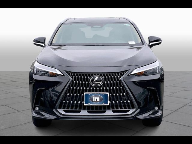 2025 Lexus NX 350