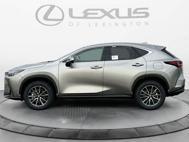 2025 Lexus NX 350