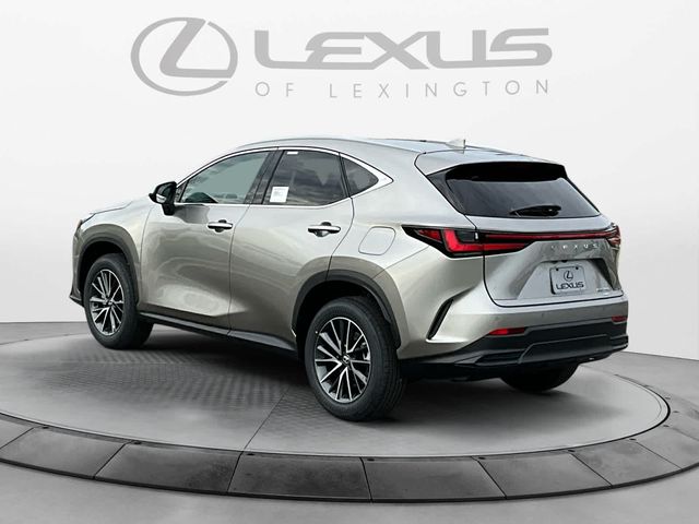 2025 Lexus NX 350