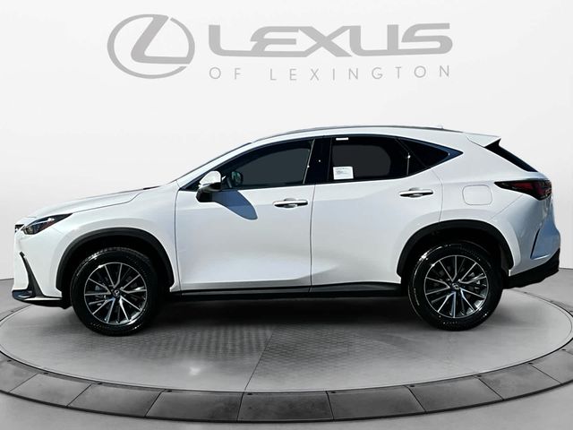 2025 Lexus NX 350