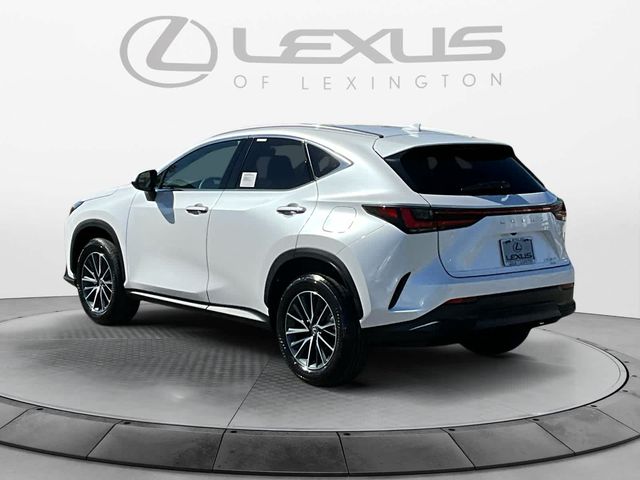 2025 Lexus NX 350