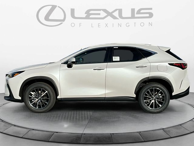 2025 Lexus NX 350