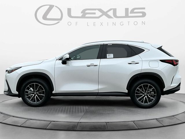 2025 Lexus NX 350