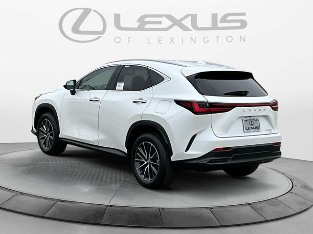 2025 Lexus NX 350