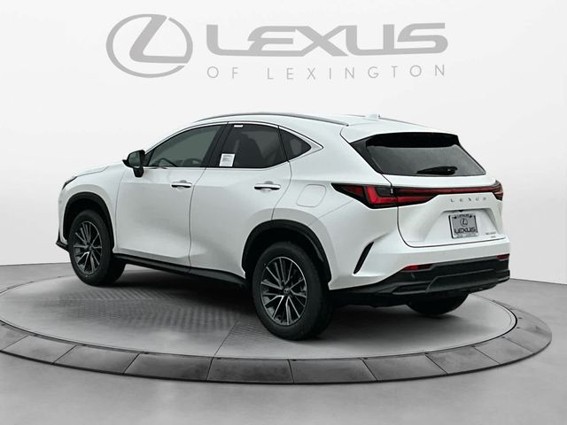 2025 Lexus NX 350