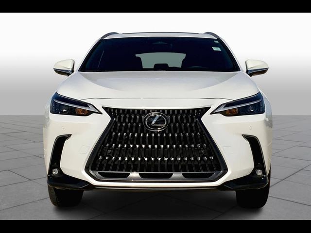 2025 Lexus NX 350h