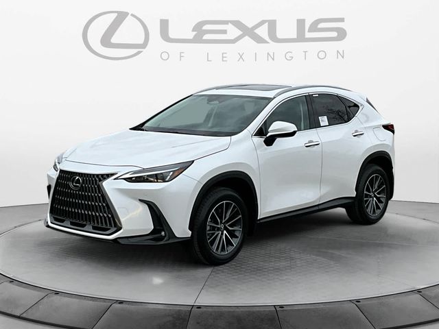 2025 Lexus NX 350h