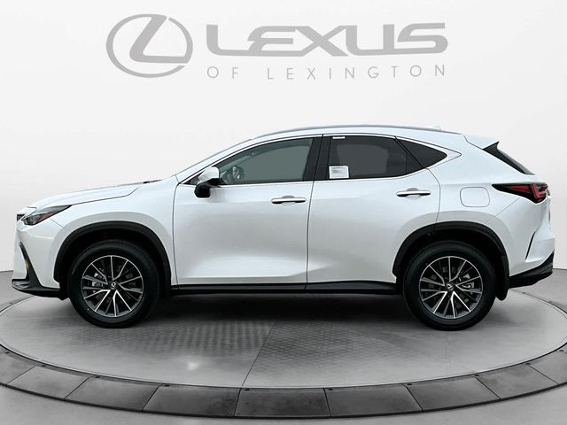 2025 Lexus NX 350h