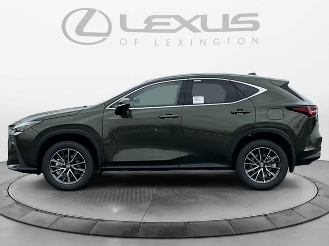 2025 Lexus NX 350h