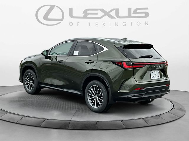 2025 Lexus NX 350h