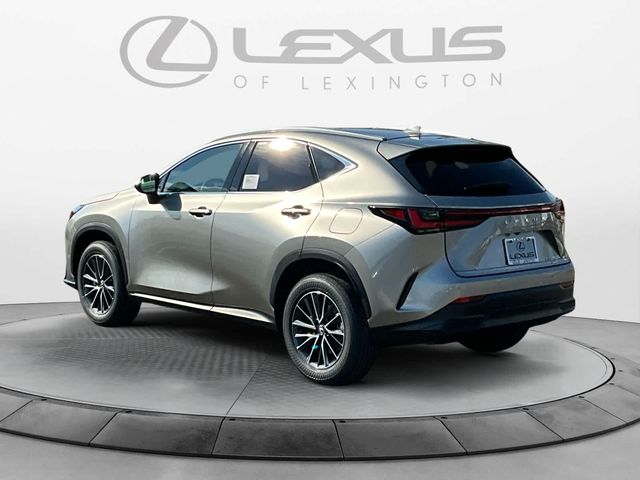 2025 Lexus NX 350h