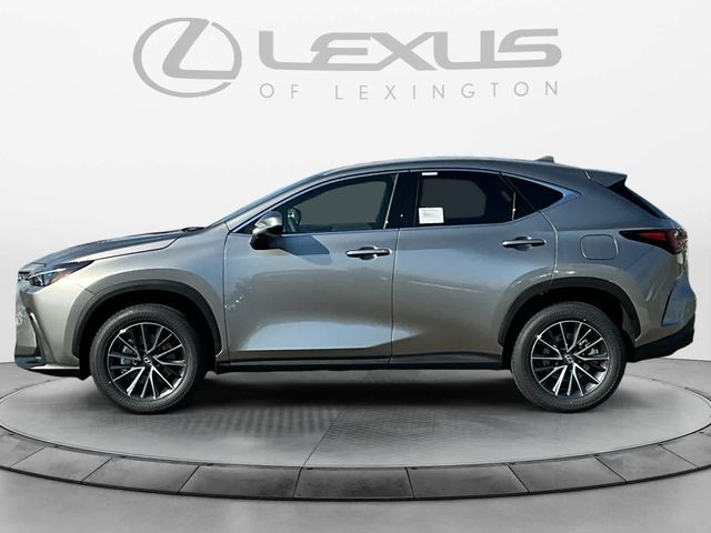 2025 Lexus NX 350h