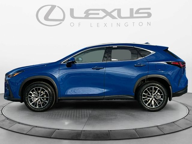 2025 Lexus NX 350h