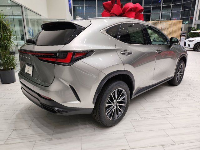 2025 Lexus NX 250 Premium