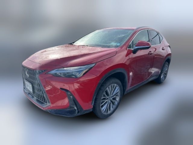 2025 Lexus NX 350 Premium