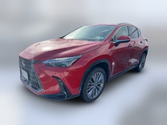 2025 Lexus NX 350 Premium