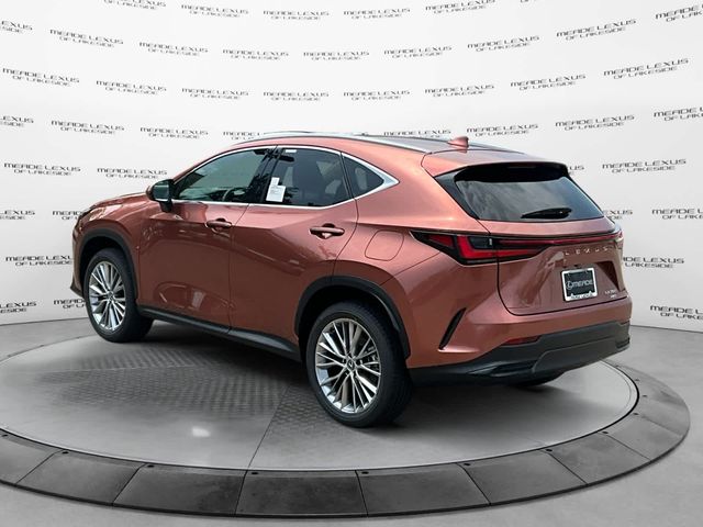 2025 Lexus NX 350