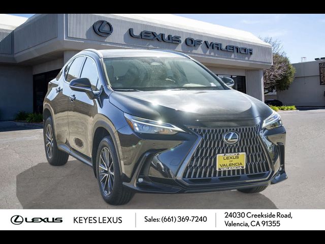 2025 Lexus NX 350