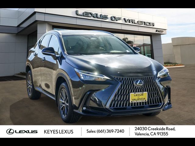 2025 Lexus NX 350