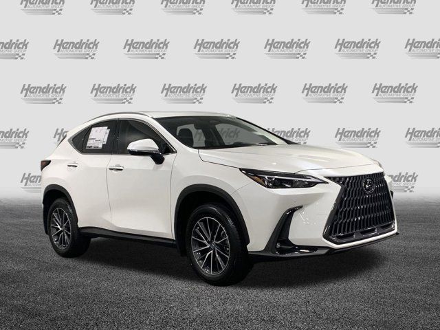 2025 Lexus NX 250