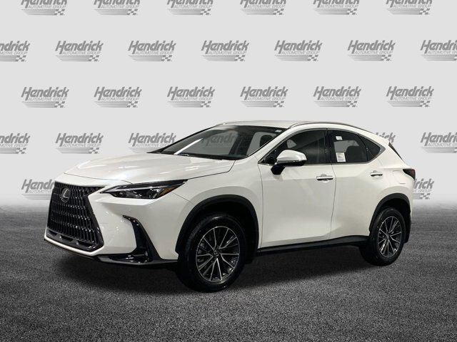 2025 Lexus NX 250