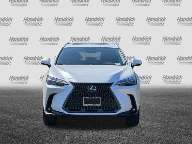 2025 Lexus NX 250