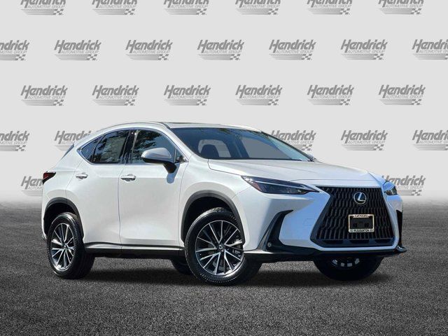 2025 Lexus NX 250