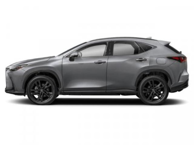 2025 Lexus NX 250