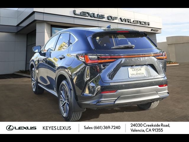 2025 Lexus NX 350h