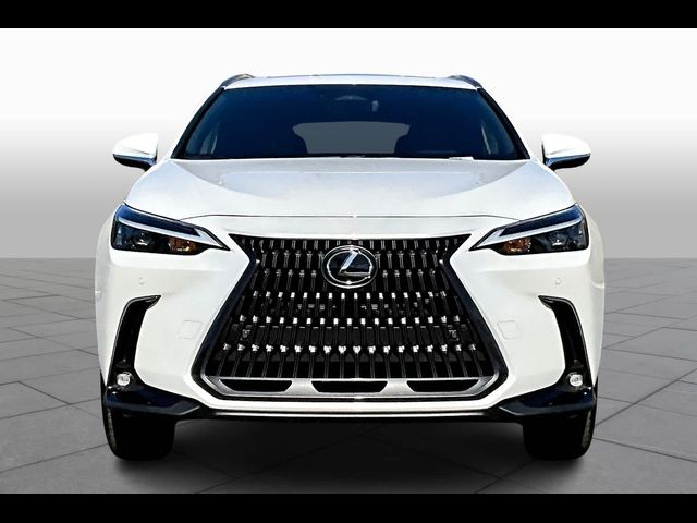 2025 Lexus NX 350h